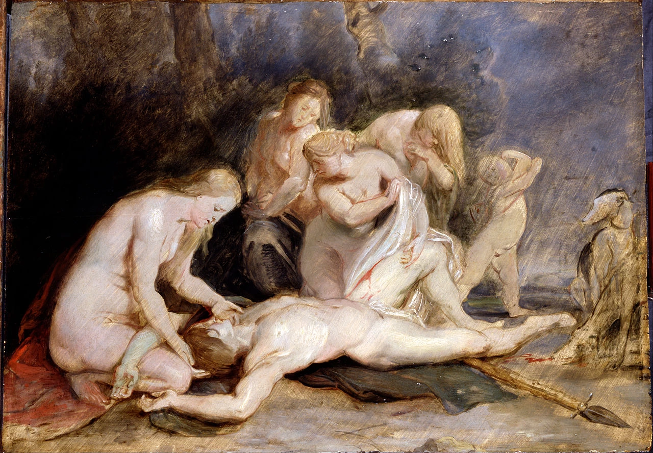 Venere piange Adone - Dulwich Picture Gallery, Londra